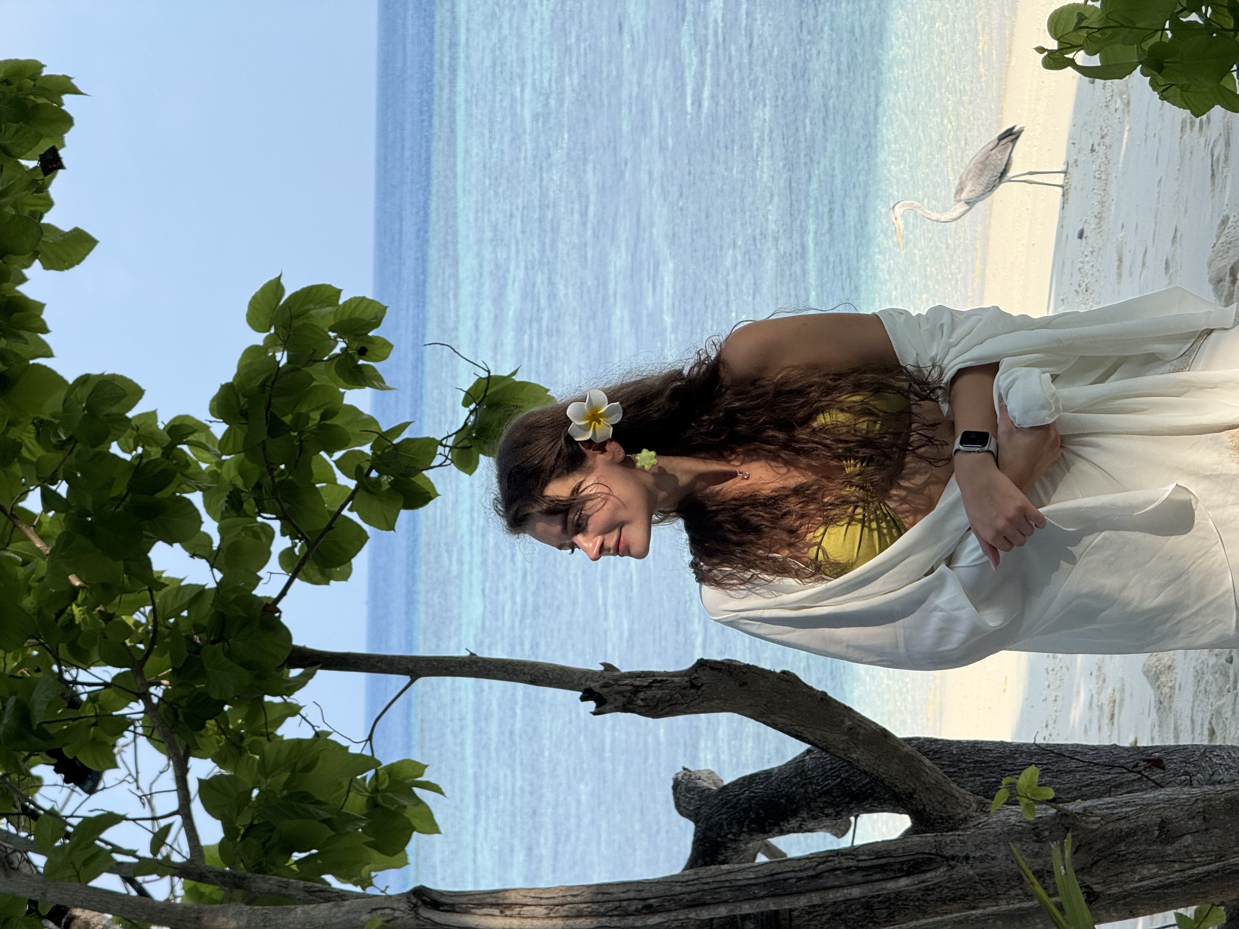 Maldives beach with heron